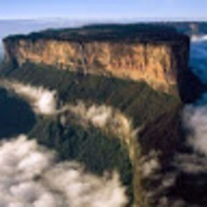 Meet your Posher, Jack